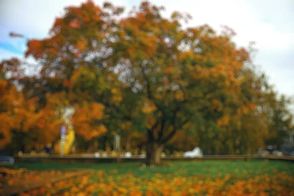 Natürlicher verschwommener Hintergrund — Stockfoto