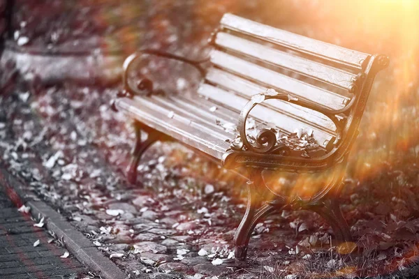 Banc dans le parc d'automne — Photo