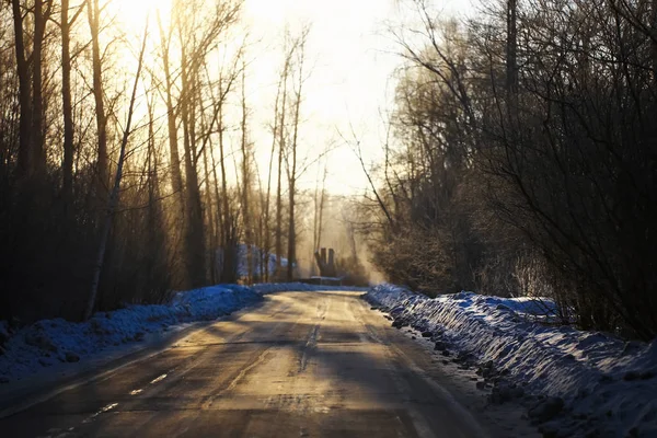 Захід сонця в зимовому лісі — стокове фото