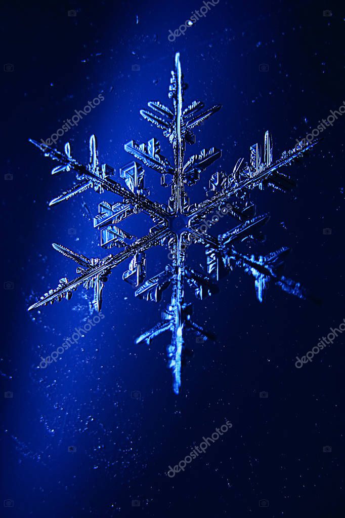 Snowflake on a blue background — Stock Photo © xload #150817346