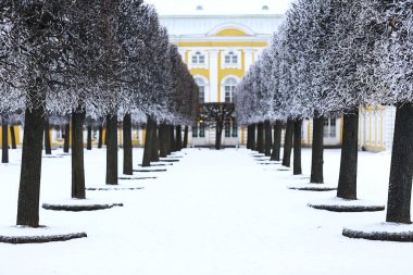 Park ve Peterhof şeritte