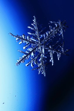 Mavi arkaplanda kar taneleri