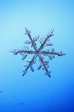 Mavi arkaplanda kar taneleri