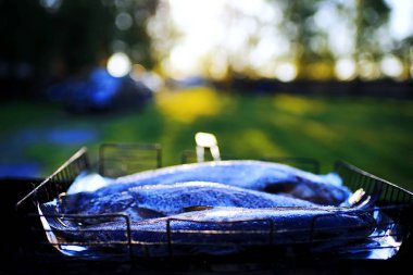 Sokakta ızgara balık