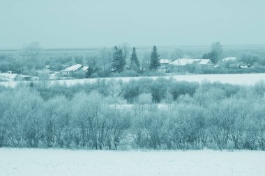 Karda kurumuş çimenler