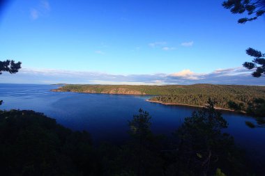Sahil su ve iğne yapraklı orman