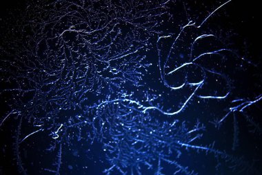 Hoarfrost ve kar desenleri