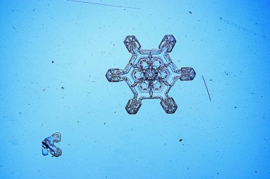 Mavi arkaplanda kar taneleri