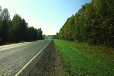 Ormanı yaz aylarında yol