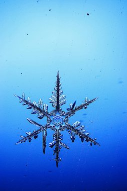 Mavi arkaplanda kar taneleri