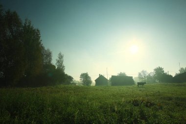 kırsal sonbahar çayır 