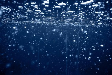 Yosun ve mercan ile deniz dibinin