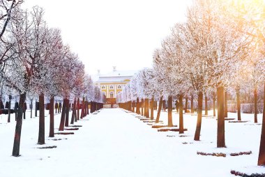 Park ve Peterhof şeritte