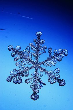 Mavi arkaplanda kar taneleri