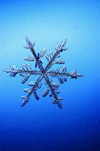 Snowflake on a blue background — Stock Photo, Image