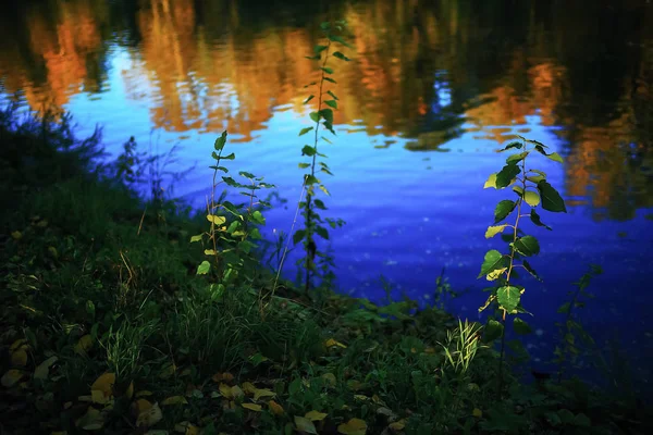 Tiempo soleado en el parque de otoño — Foto de Stock