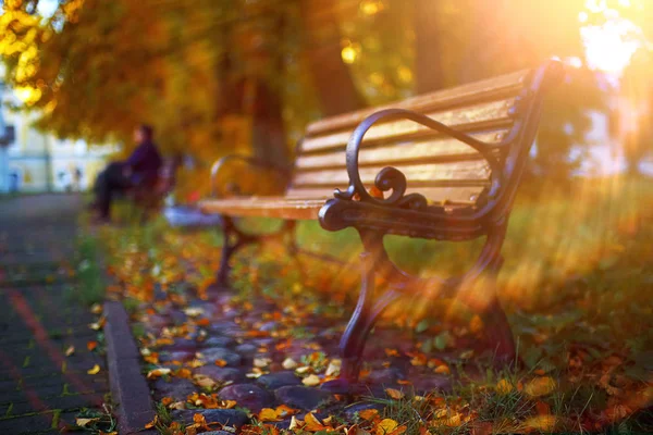 Lavička v podzimním parku — Stock fotografie