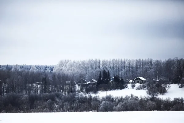 Sněhem pokrytý zimní les — Stock fotografie