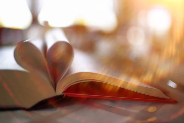 El libro y el café en la cafetería — Foto de Stock