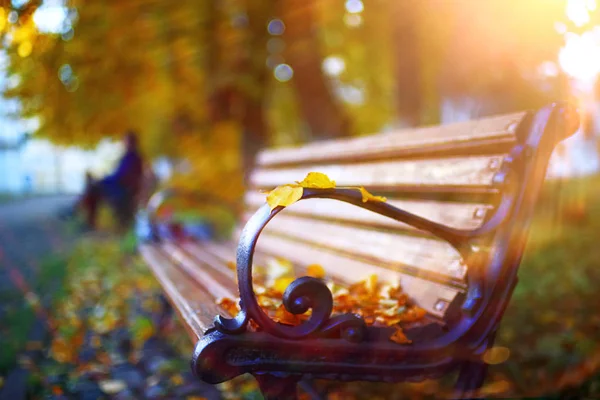 Bänke im Herbstpark — Stockfoto