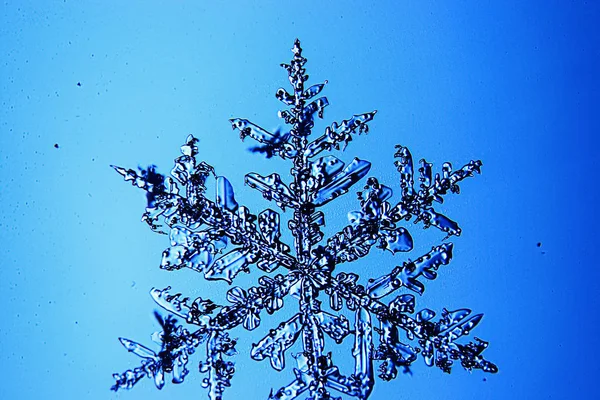 Snöflinga på en blå bakgrund — Stockfoto
