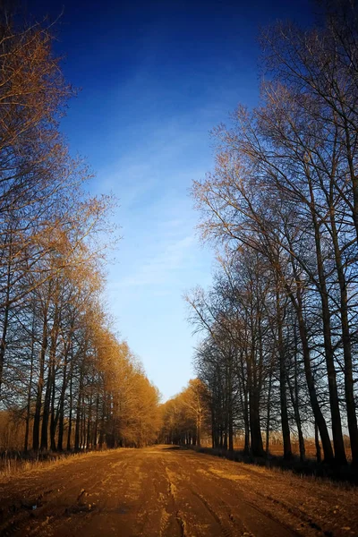 Météo nuageuse dans le parc — Photo