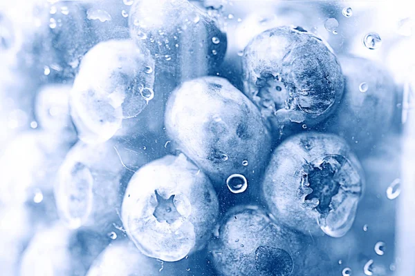 Fresh berries, blueberries — Stock Photo, Image