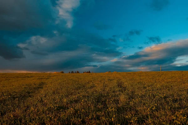 Campo com estrada e árvores — Fotografia de Stock