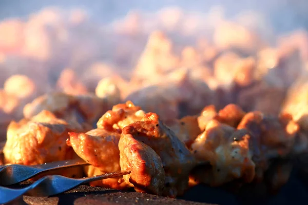 ग्रिलवर शिश कबाब — स्टॉक फोटो, इमेज