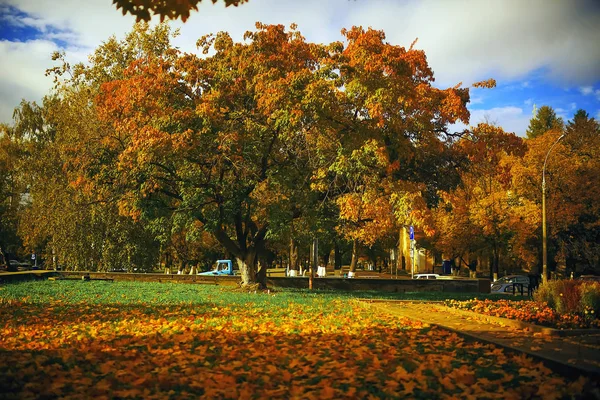 Деревья осеннего парка — стоковое фото