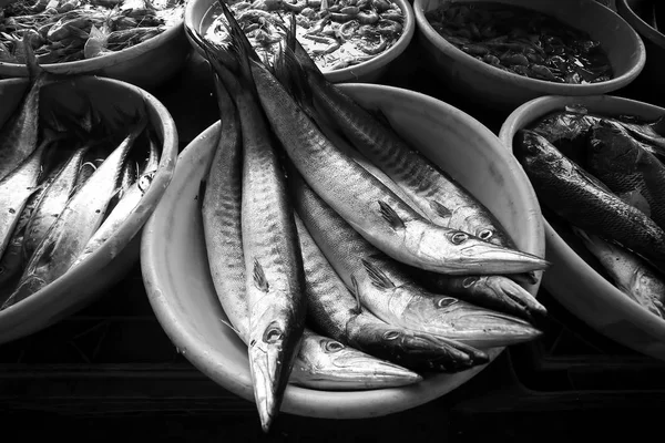 Pescado fresco en el mercado — Foto de Stock