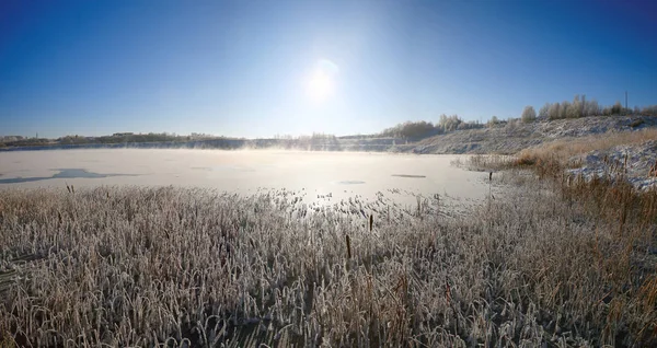 Vintersol över thegrass — Stockfoto