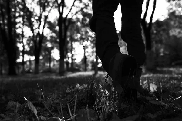 Man die in het bos wandelt — Stockfoto