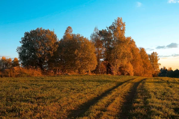 Champ avec route et arbres — Photo