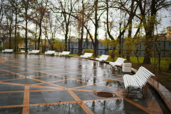 Скамейки в парке после дождя — стоковое фото