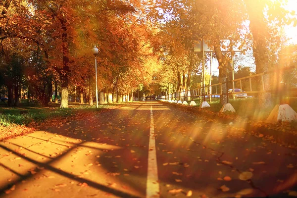 Słoneczna pogoda w jesienny park — Zdjęcie stockowe