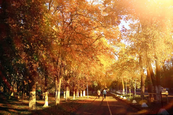 Sonniges Wetter im Herbstpark — Stockfoto