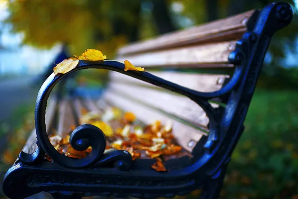 Bänke im Herbstpark — Stockfoto