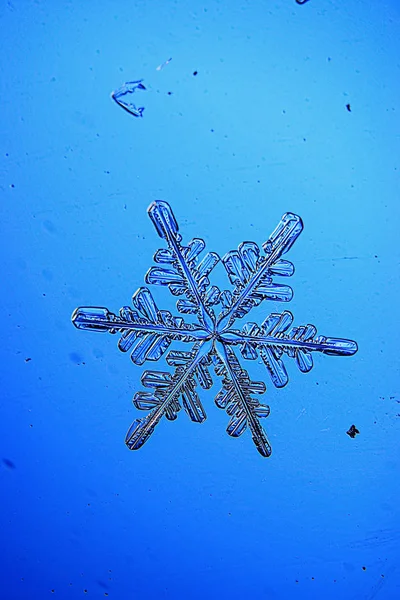 Snöflinga på en blå bakgrund — Stockfoto