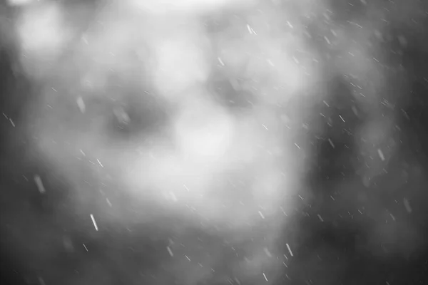 Sonbahar günü yağmur damlaları — Stok fotoğraf