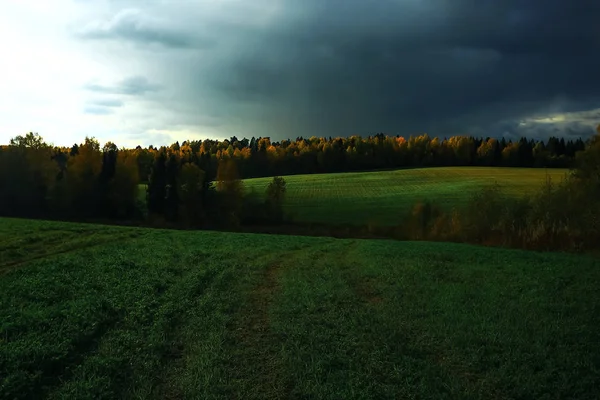 Floresta de outono no campo — Fotografia de Stock