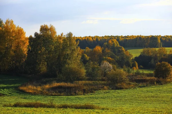 Bosque de otoño en el campo — Foto de Stock