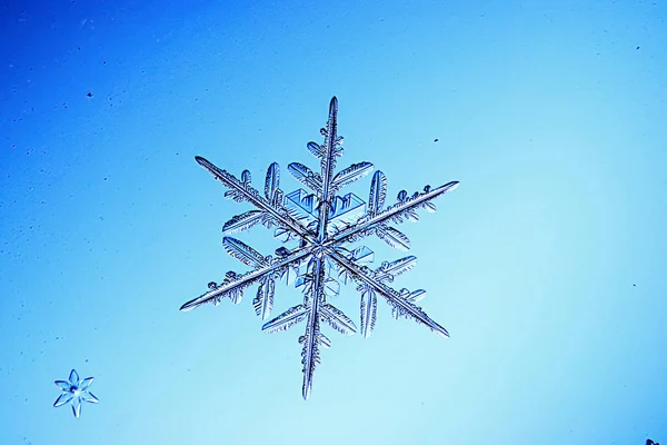 Floco de neve em um fundo azul — Fotografia de Stock