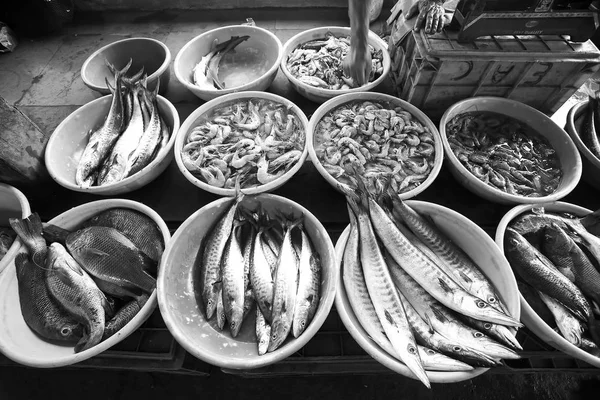 Νωπά ψάρια στην αγορά — Φωτογραφία Αρχείου