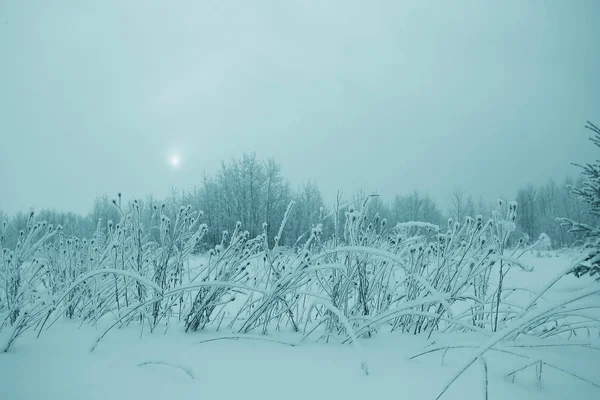 A fű mező hó — Stock Fotó