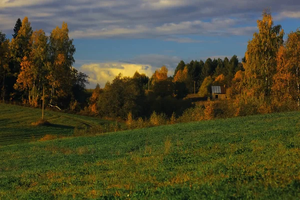 Floresta de outono no campo — Fotografia de Stock