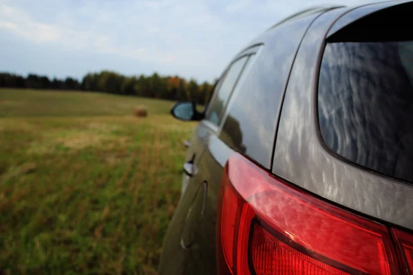 Car in the field near forest — Stock Photo, Image