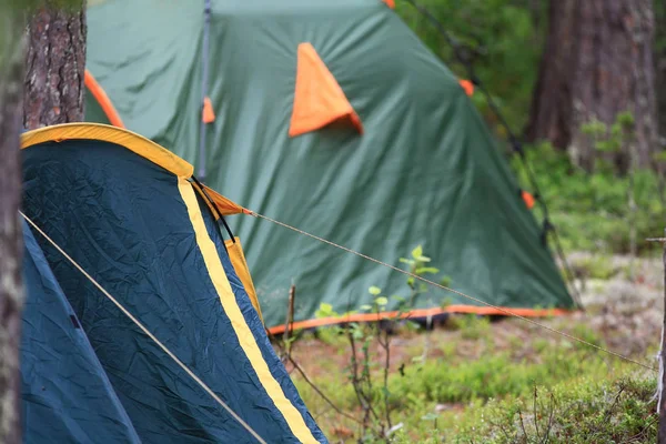 Палаточный лагерь в лесу — стоковое фото