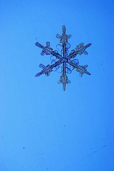 Flocons de neige sur fond bleu — Photo