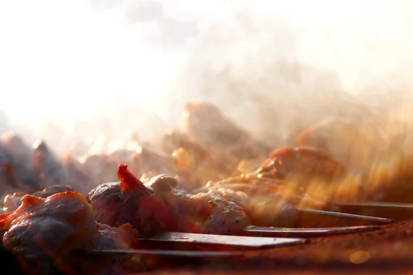 Shish kebab på grillen – stockfoto